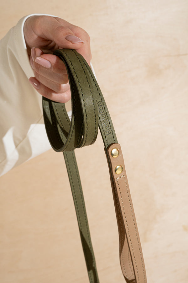 Walk kit: Walkony leash + collar green-beige