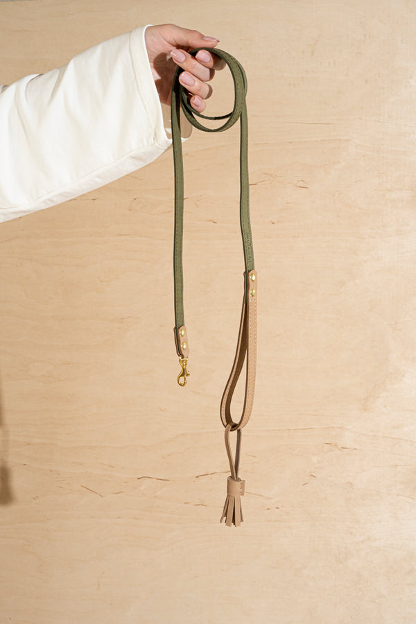 Leash Pony-Walkony green+beige