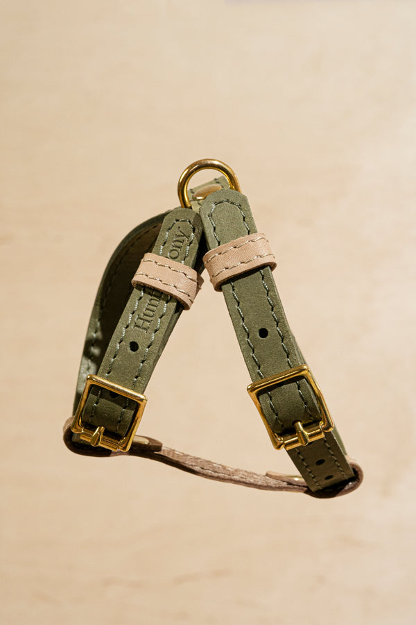 Harness Pony-Walkony green+beige