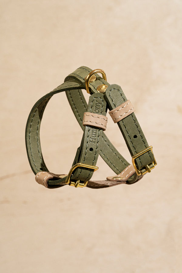 Harness Pony-Walkony green+beige