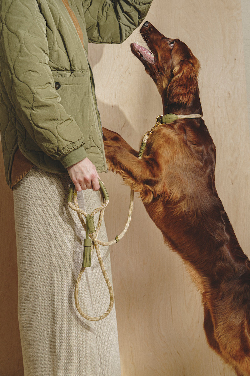 Walk kit: Makarony beige rope leash + collar green