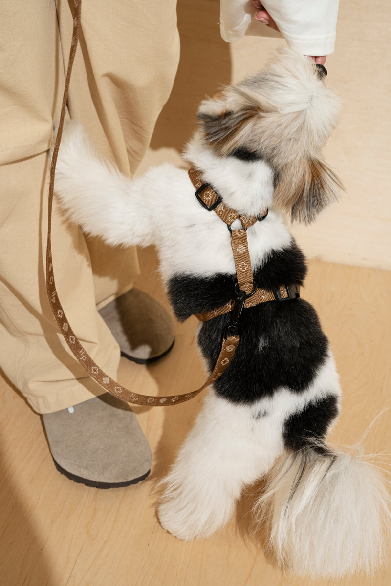 Harness “Pony-Companiony” ginger mini