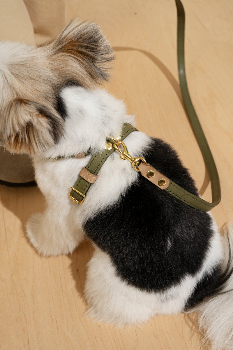 Harness Pony-Walkony green+beige