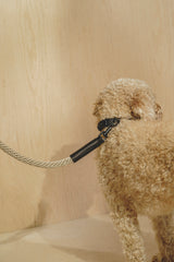Dog leash Pony knotony Beige + Black