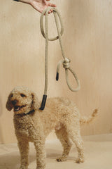 Dog collar Pony knotony Beige&Black