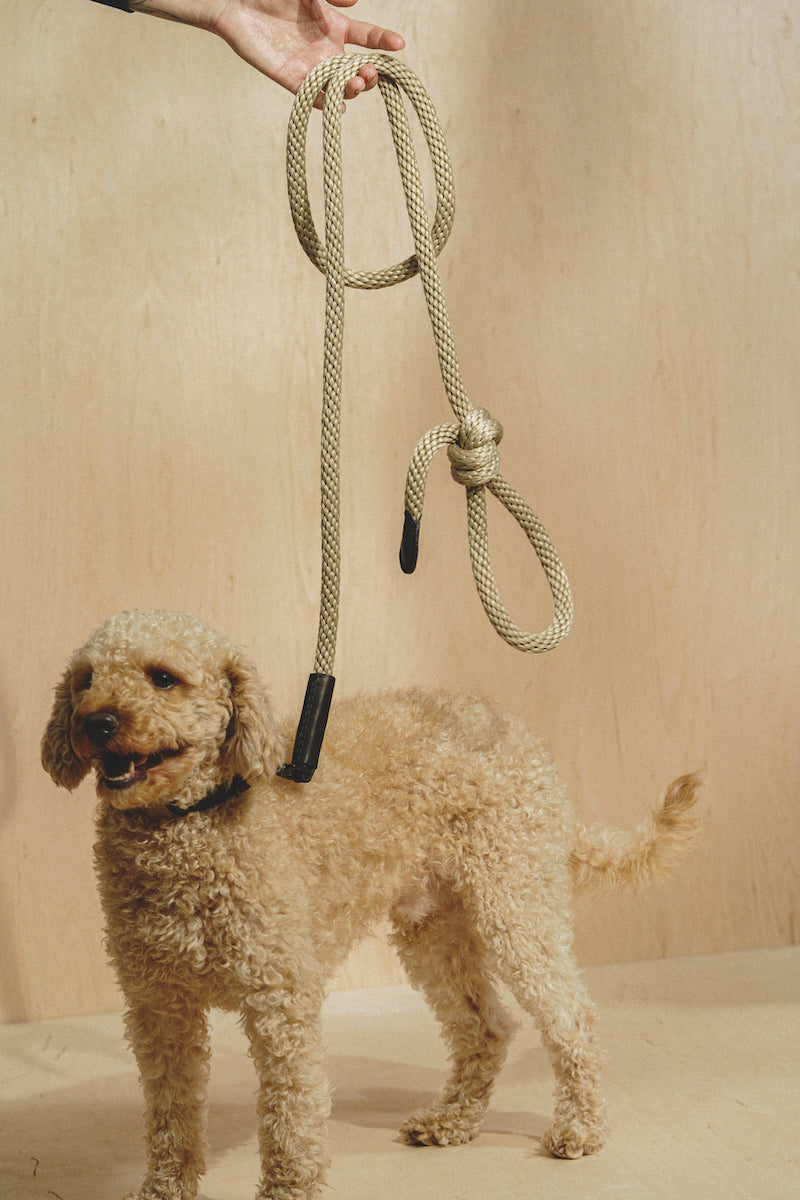 Dog collar Pony knotony Beige&Black