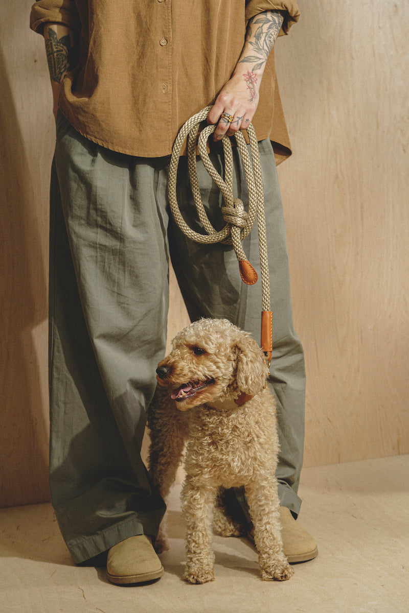 Dog leash Pony knotony Beige + Ginger