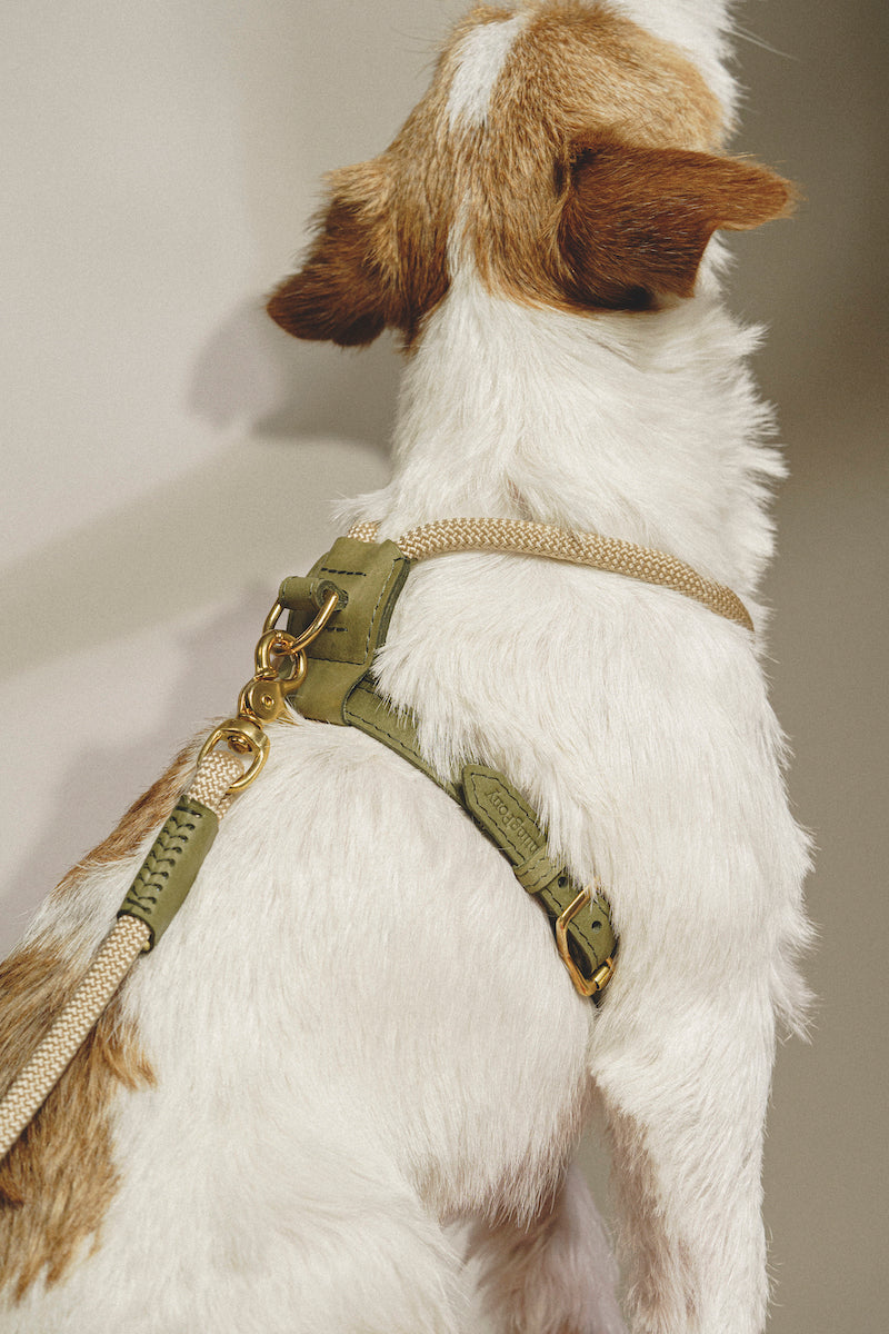 Harness Pony Makarony Green, light rope