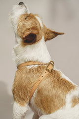 Leather harness "The eight" Ginger