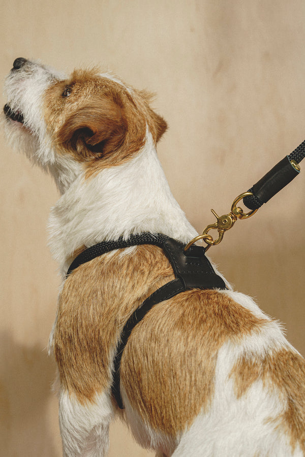 Dog Harness Pony Makarony Black