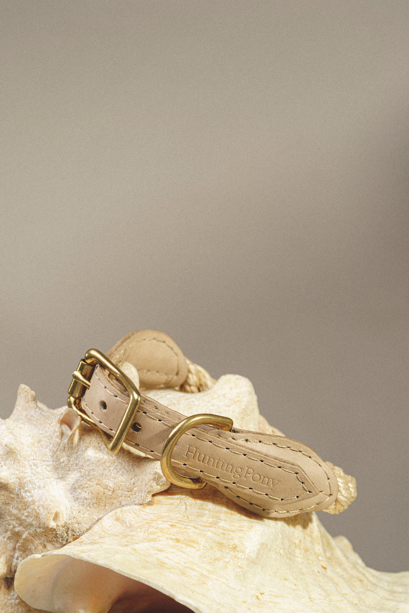 Dog collar country Pony Beige, synthetic rope