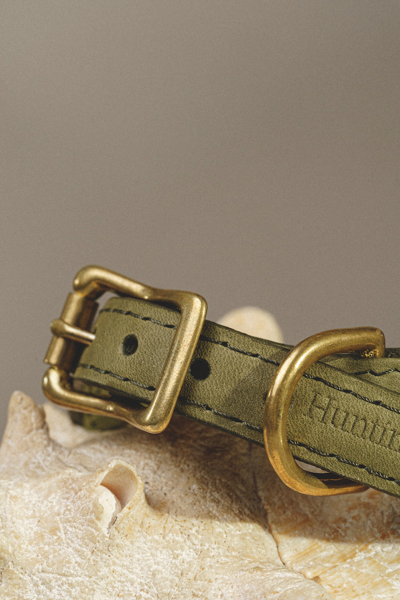 Dog collar Pony makarony Green