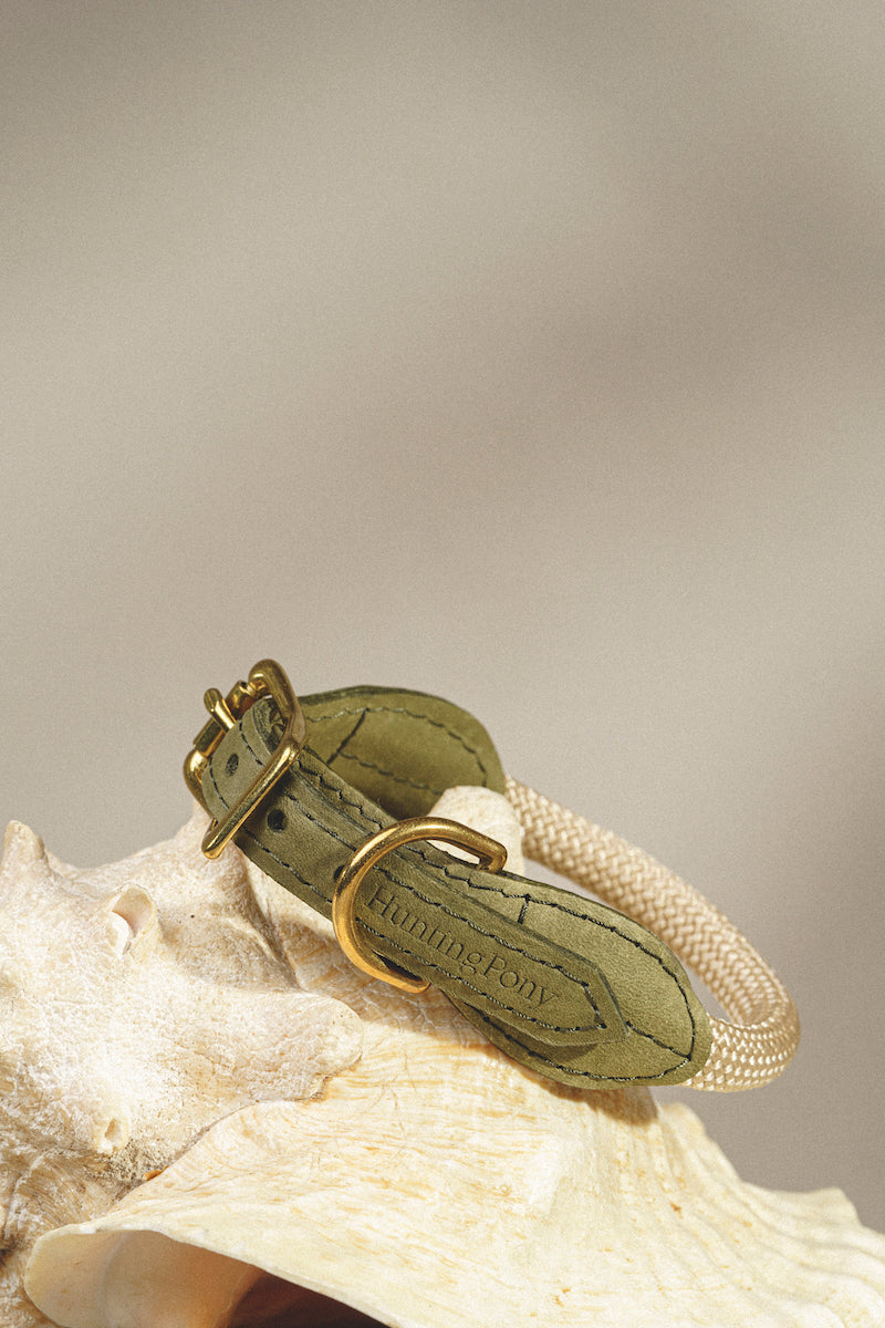 Dog collar Pony makarony Green, light rope