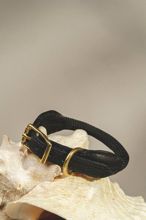 Dog collar Pony makarony black