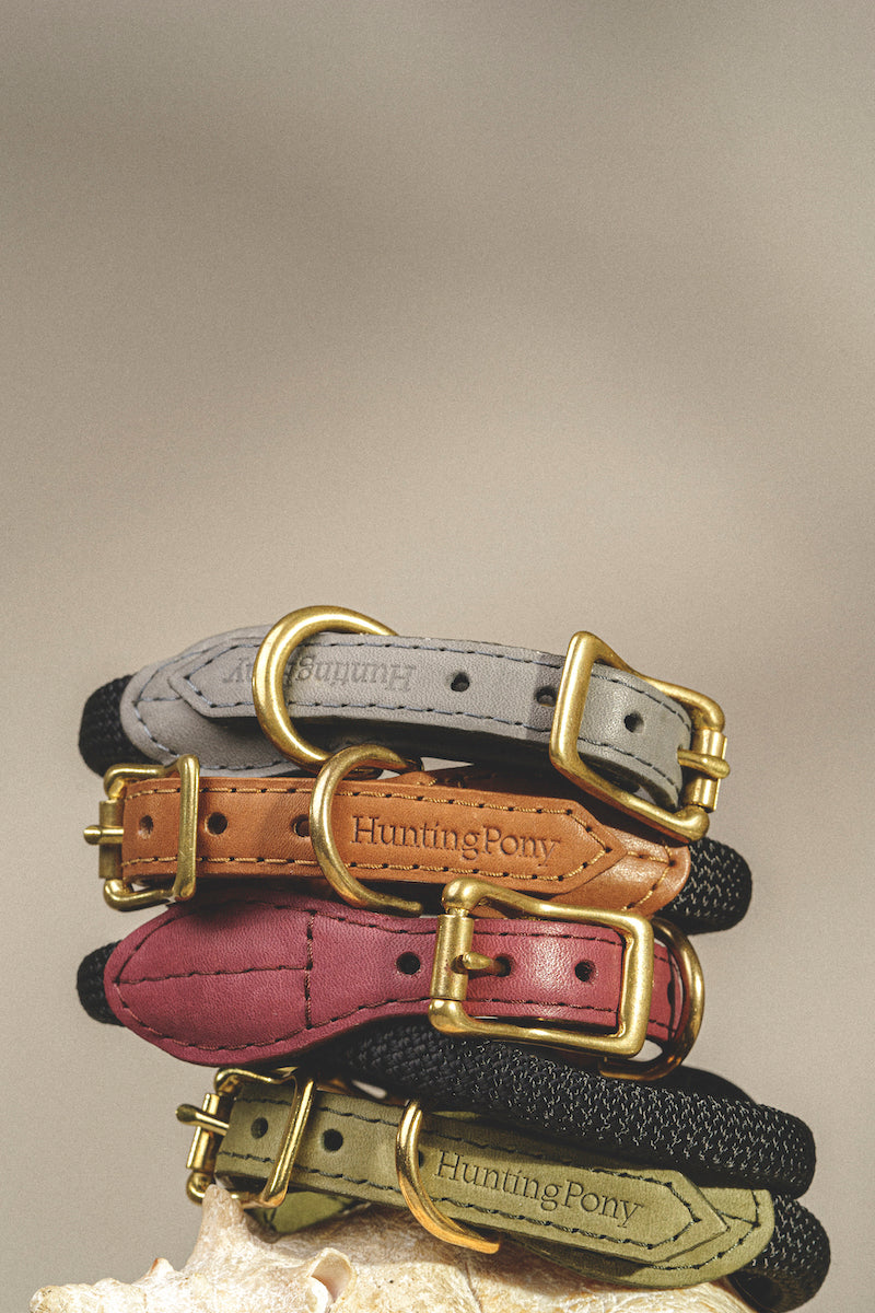 Dog collar Pony makarony Graphite