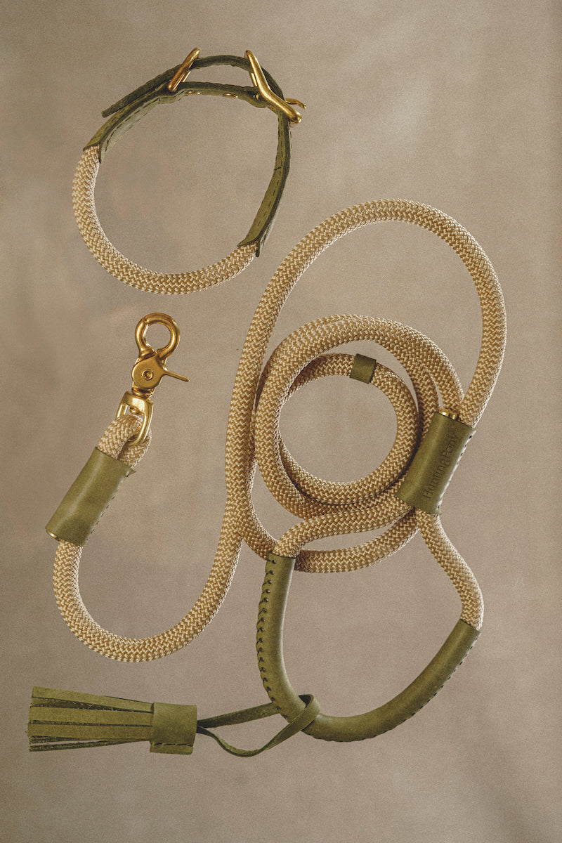 Dog leash Pony makarony Green, light rope