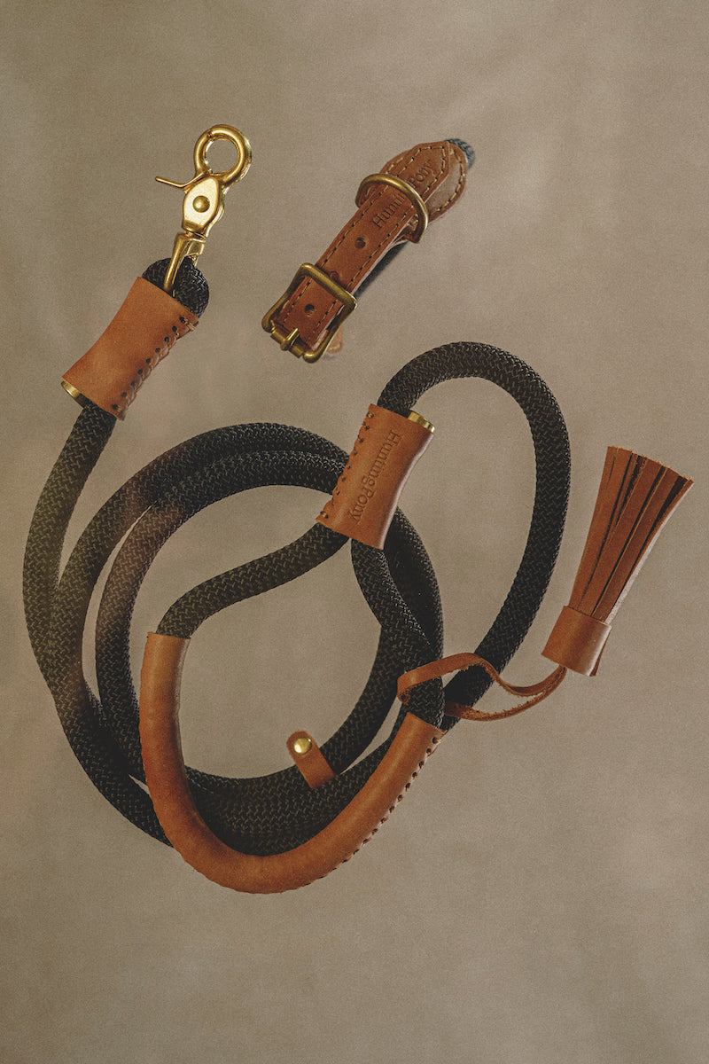 Dog leash Pony makarony Ginger