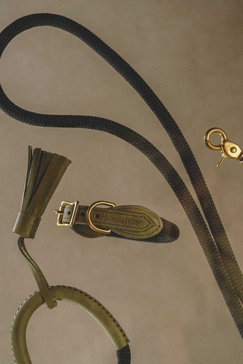 Dog leash – HuntingPony | Pet essentials