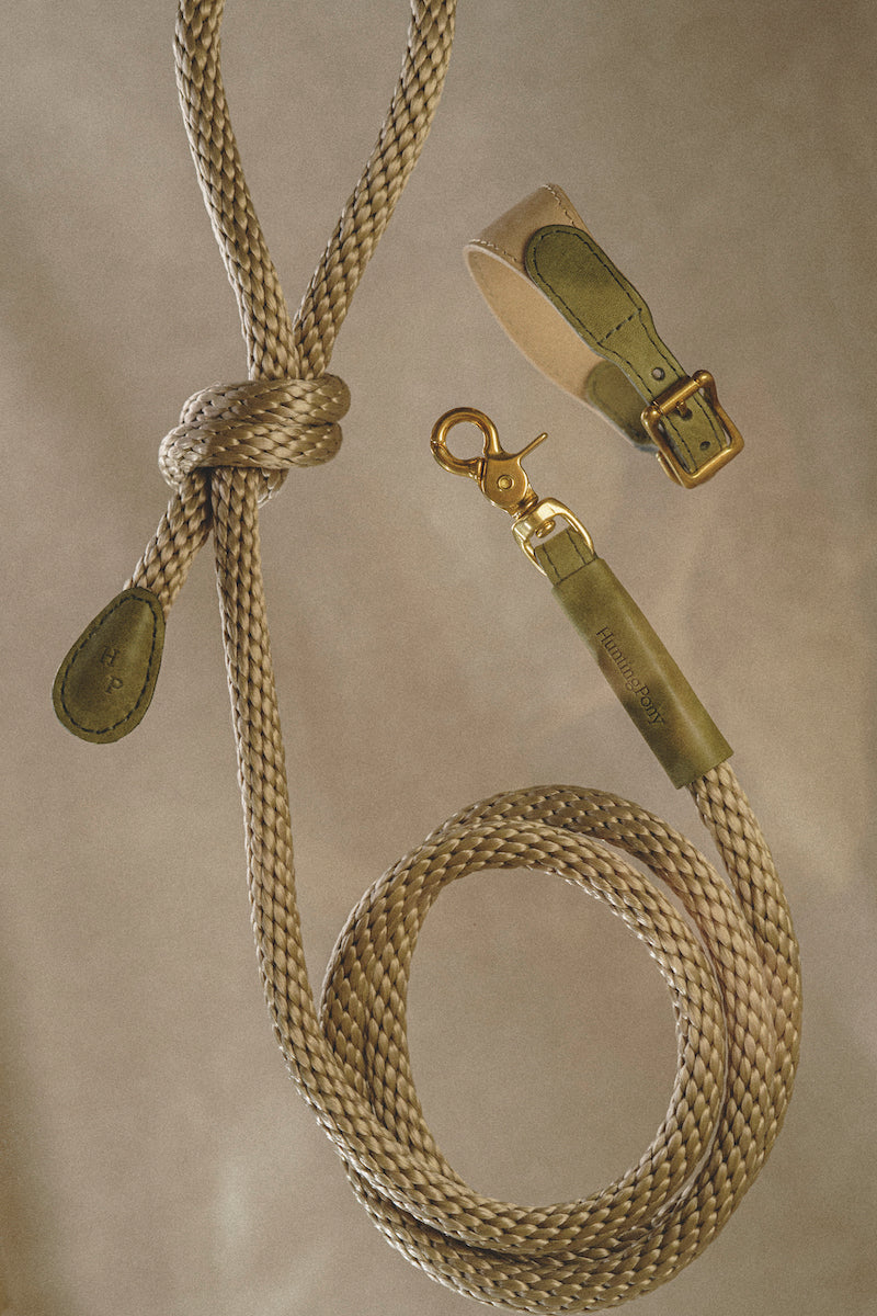 Dog collar Pony knotony Beige&Green