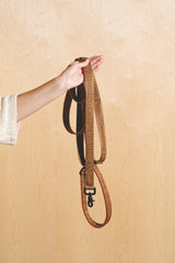 Walk kit: Companiony leash + collar ginger