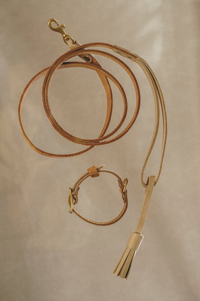 Leash Pony-Walkony ginger+beige
