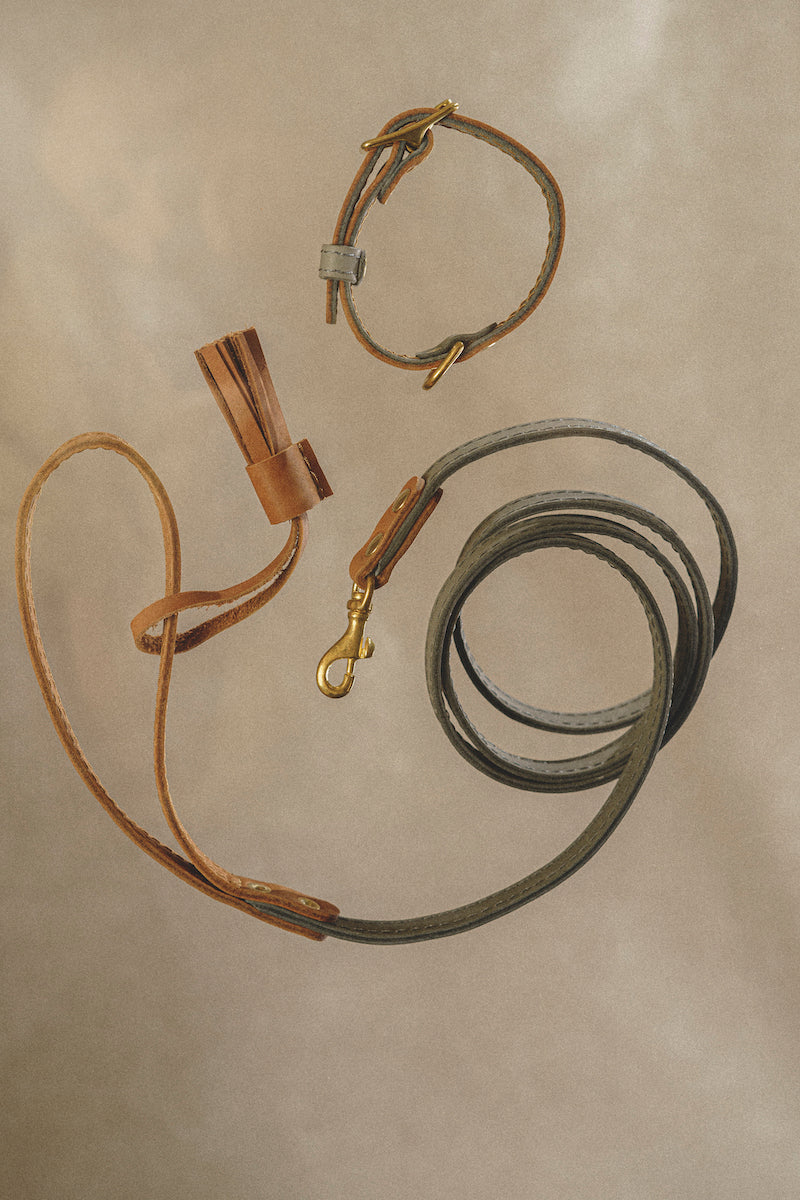 Collar Pony-Walkony, Graphite and Ginger