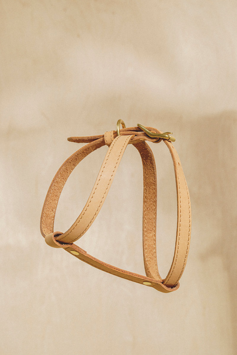 Leather harness "The eight" Ginger