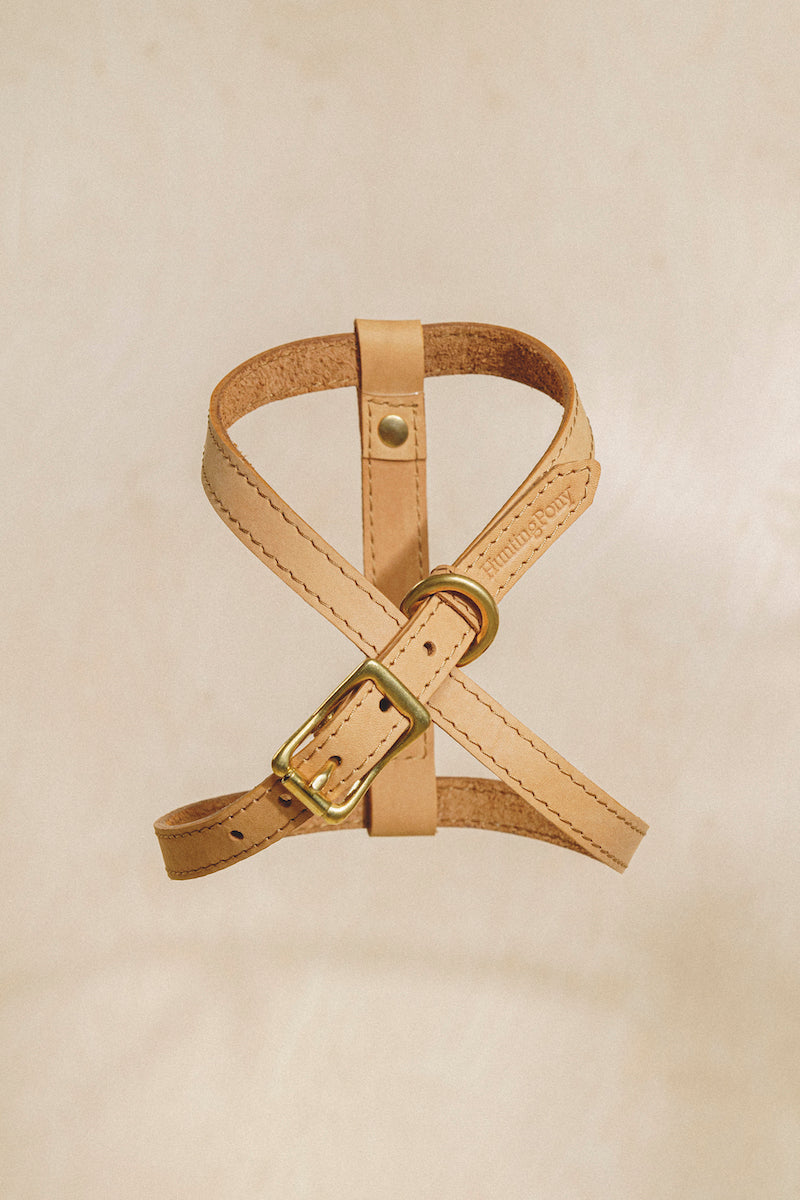 Leather harness "The eight" Ginger