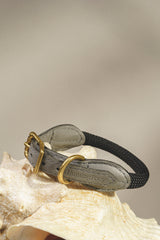 Dog collar Pony makarony Graphite