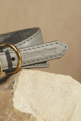 Dog collar Herring Graphite
