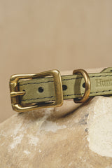 Dog collar Pony knotony Beige&Green
