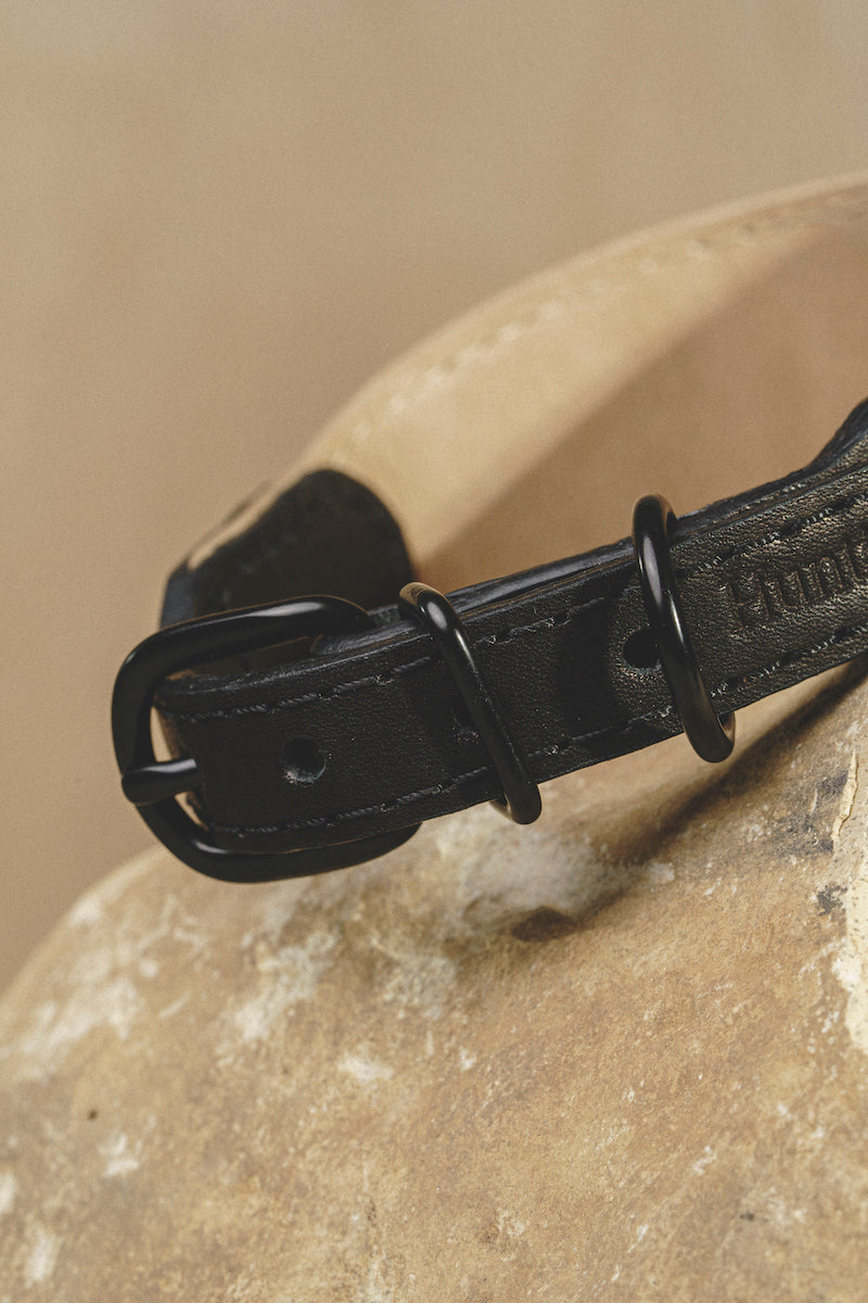 Dog collar Pony knotony Beige&Black
