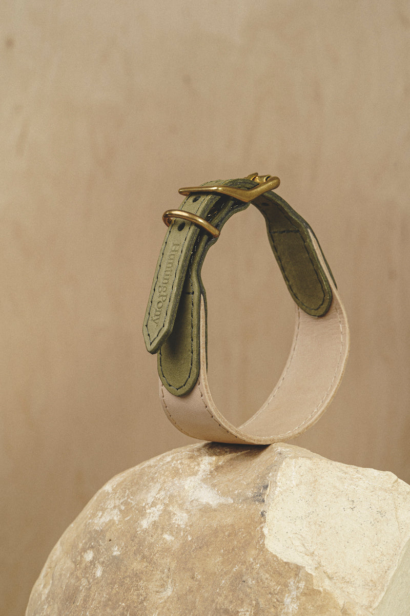 Dog collar Pony knotony Beige&Green