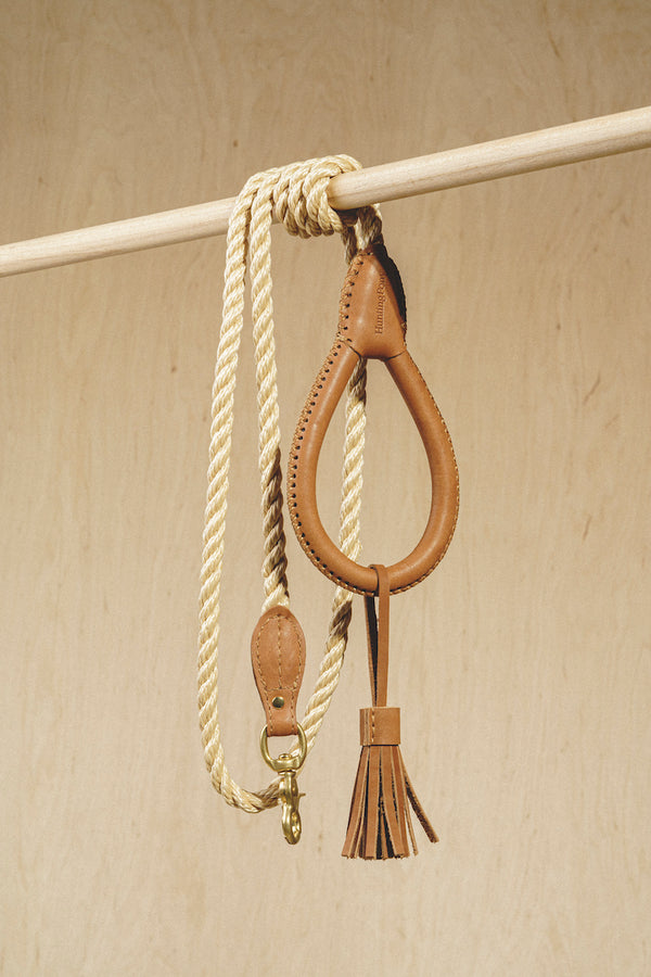 Walk kit: Country leash + collar ginger