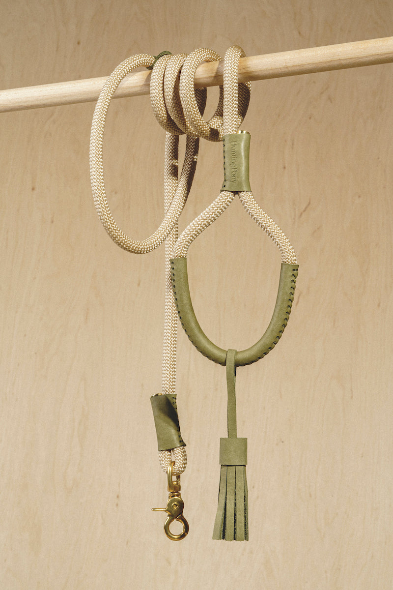 Dog leash Pony makarony Green, light rope