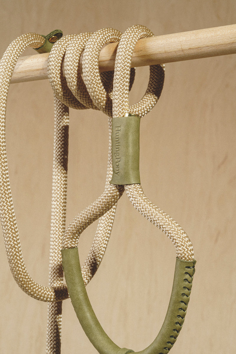 Dog leash Pony makarony Green, light rope