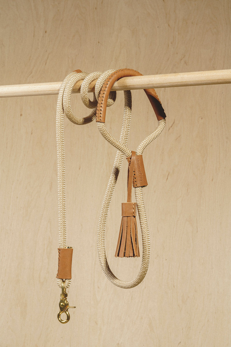 Dog leash Pony makarony Ginger, light rope