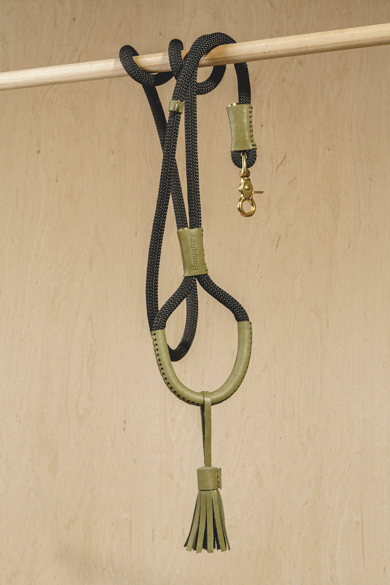 Dog leash Pony makarony Green
