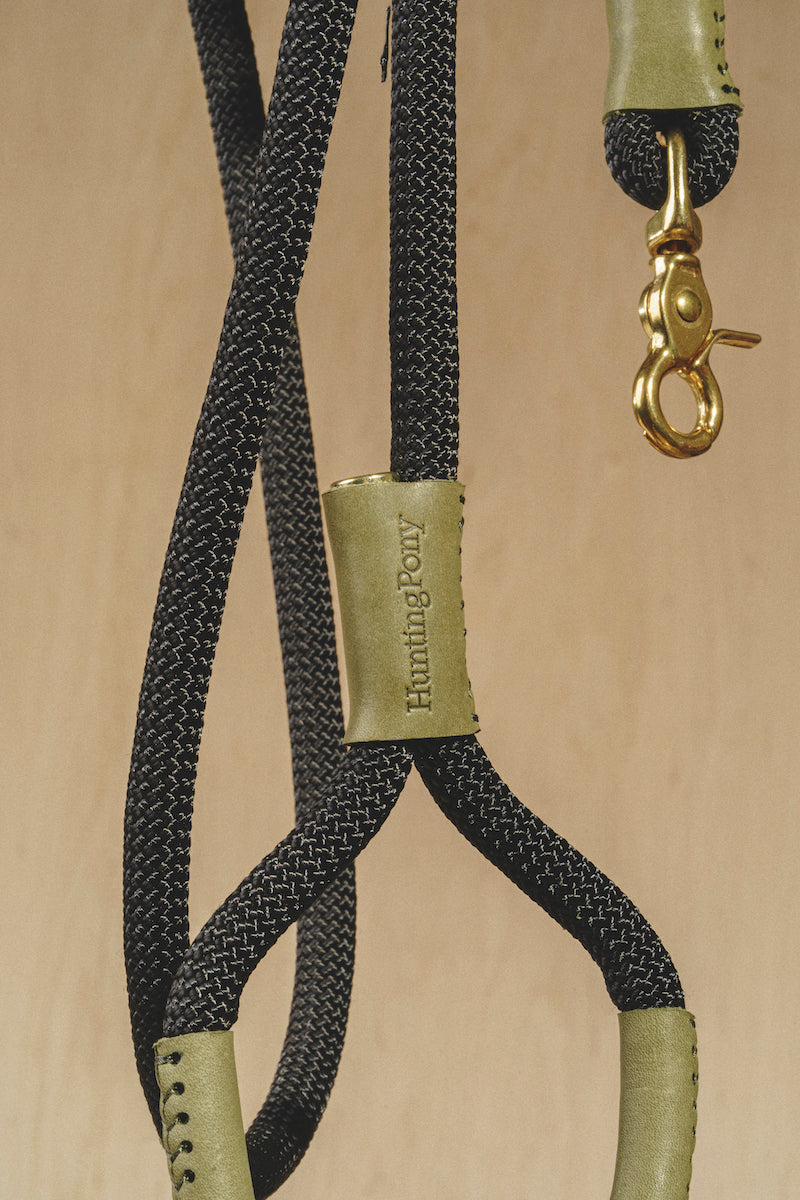 Dog leash Pony makarony Green