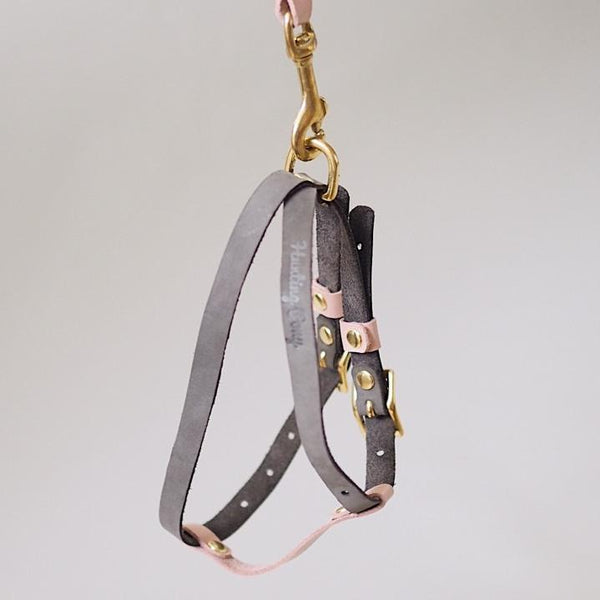 Leather harness Pony-Walkony