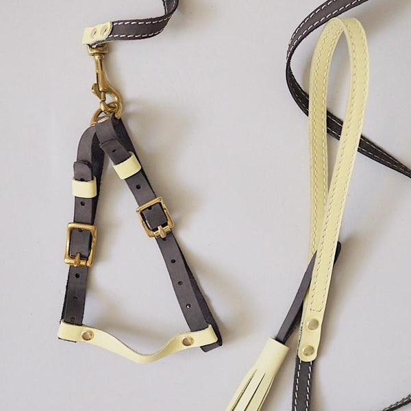 Leather harness Pony-Walkony