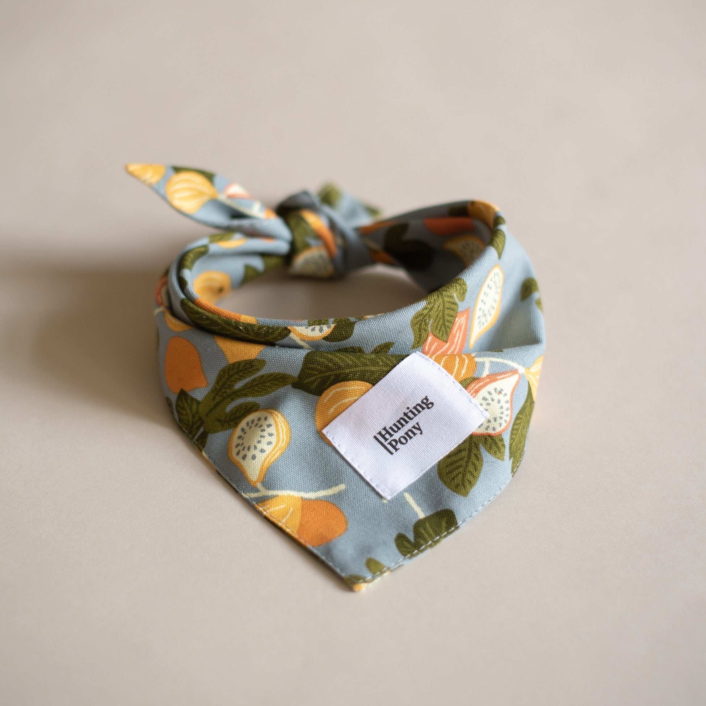 Pony Bandana for dogs
