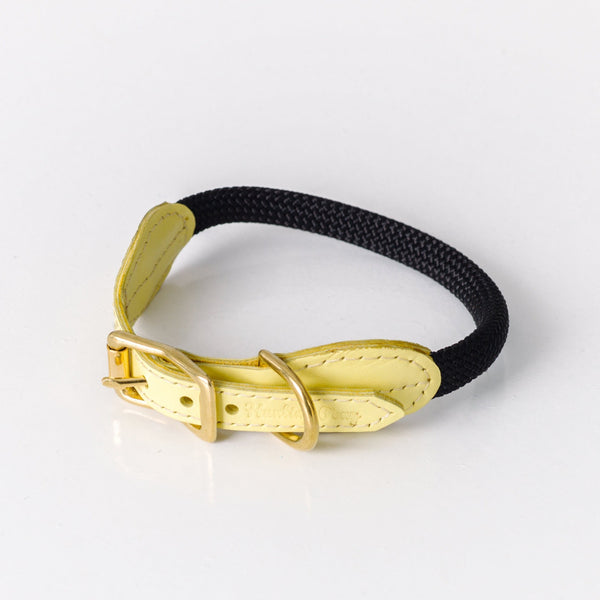 Pastel yellow dog collar best sale