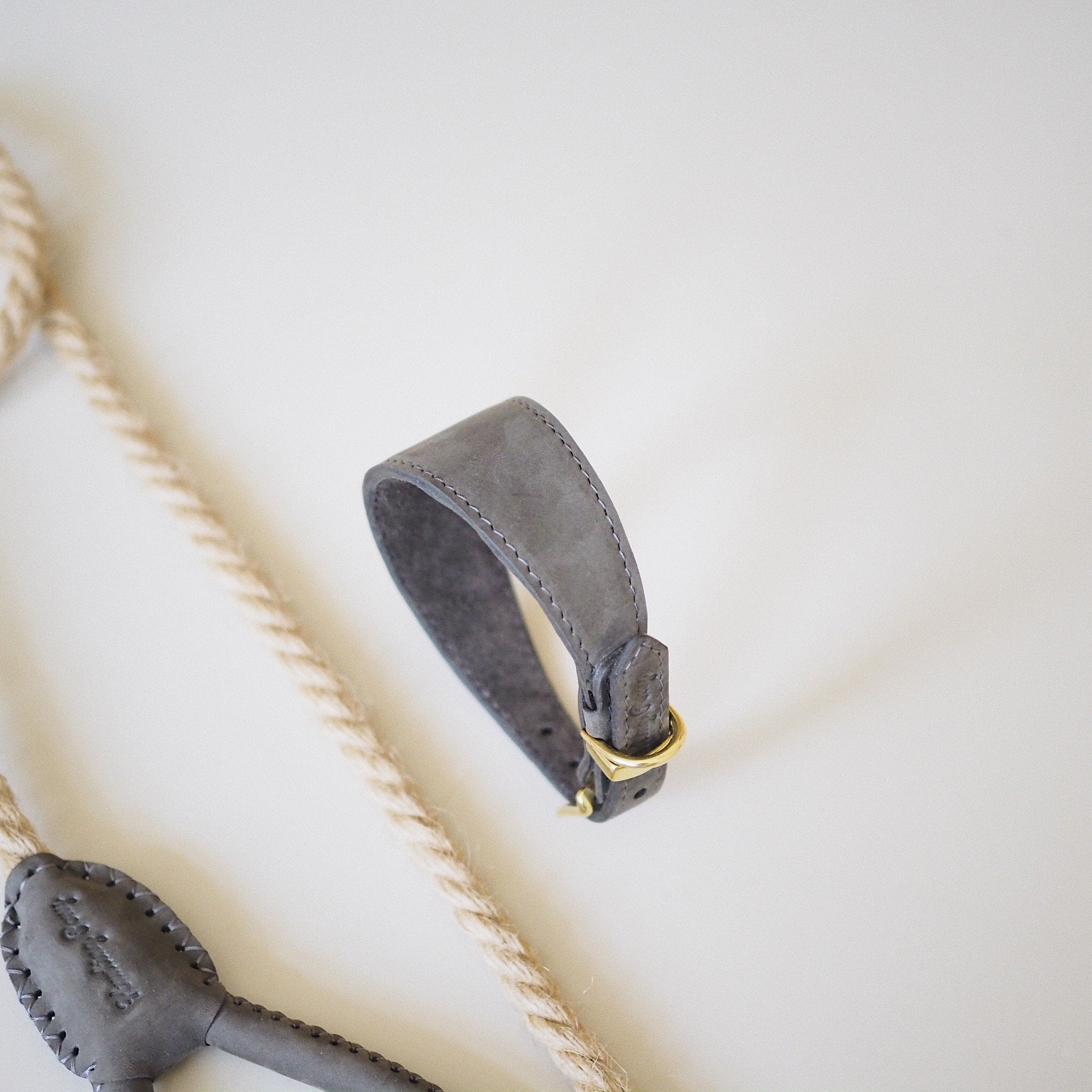 Dog collar herring graphite