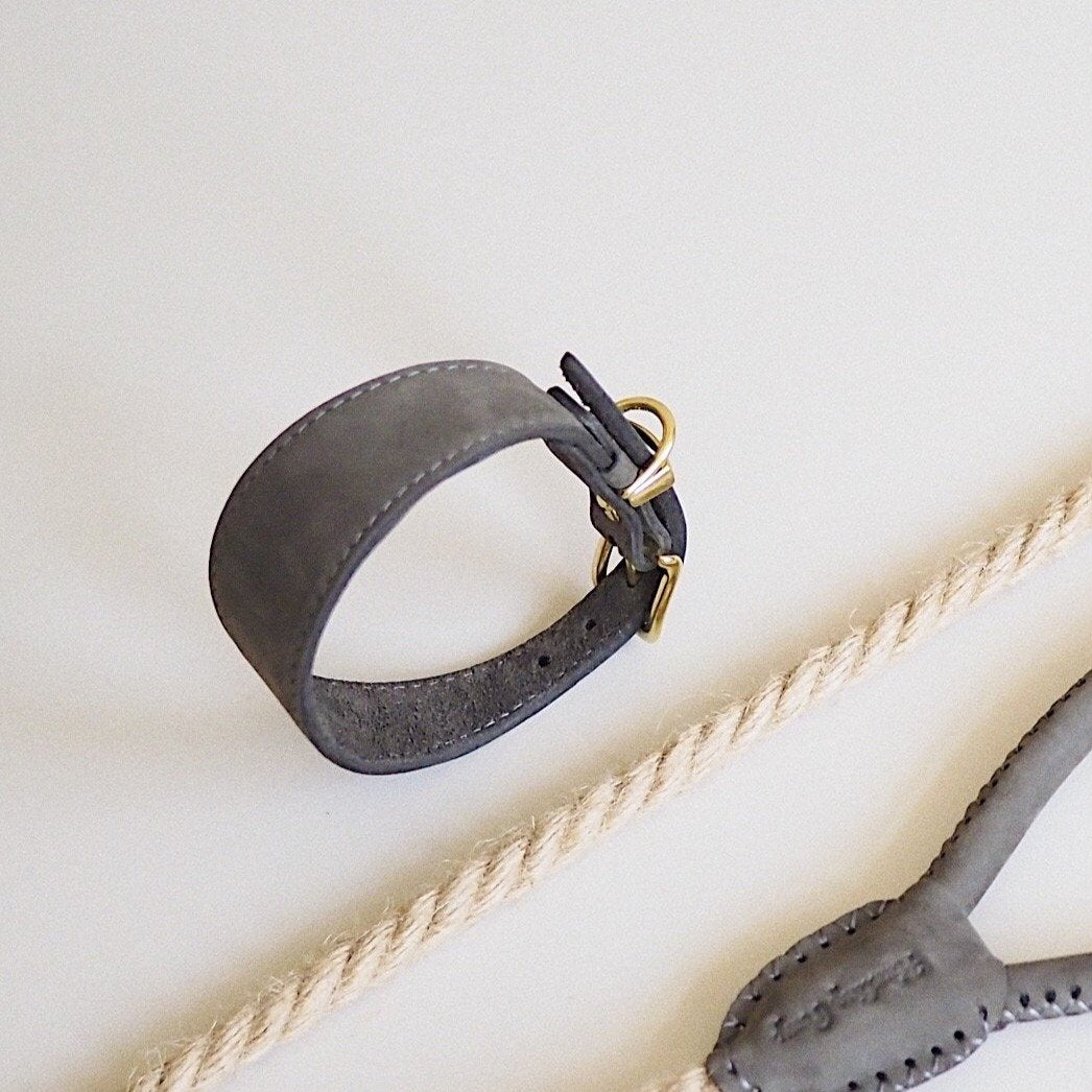 Dog collar herring graphite