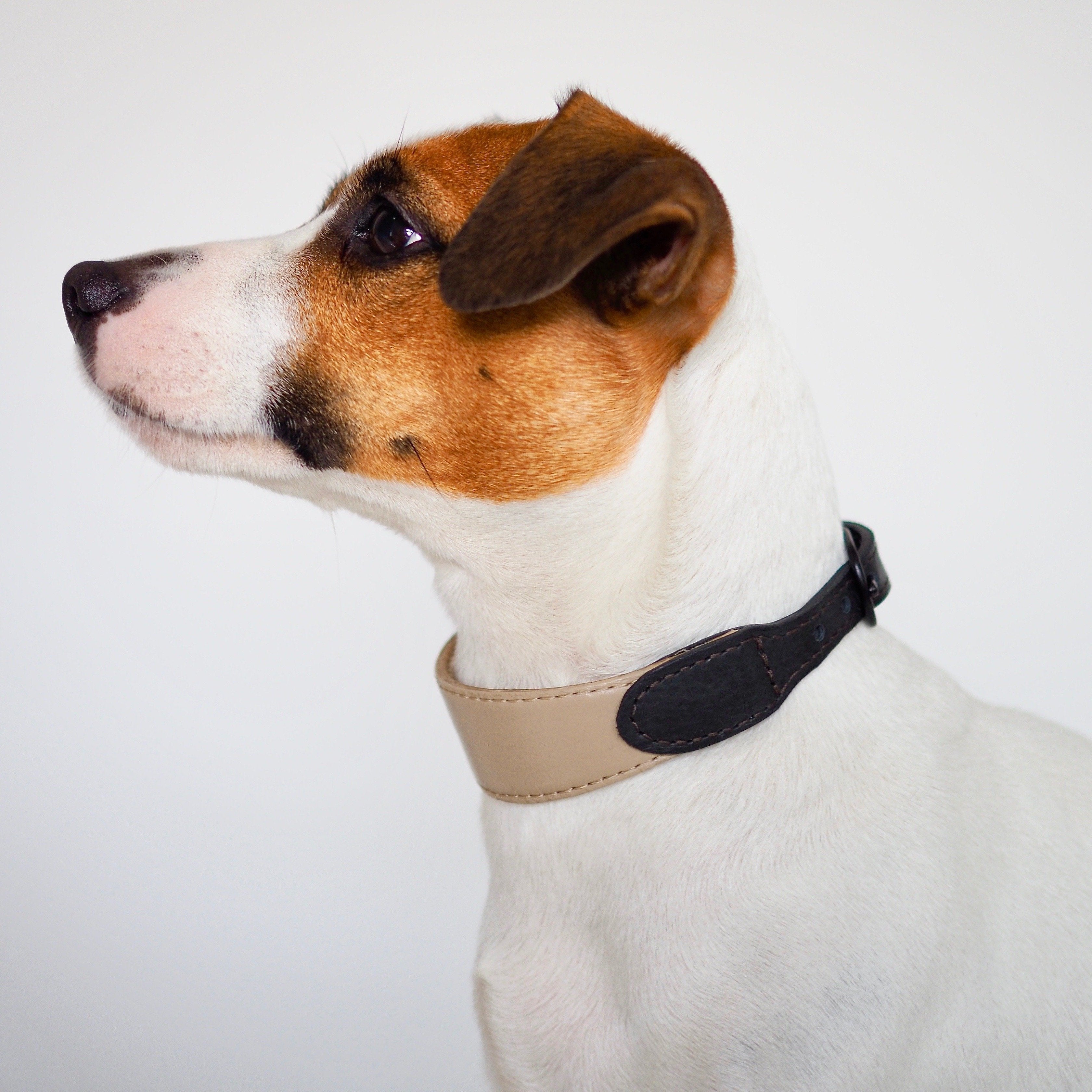 Dog collar Pony knotony beige&black