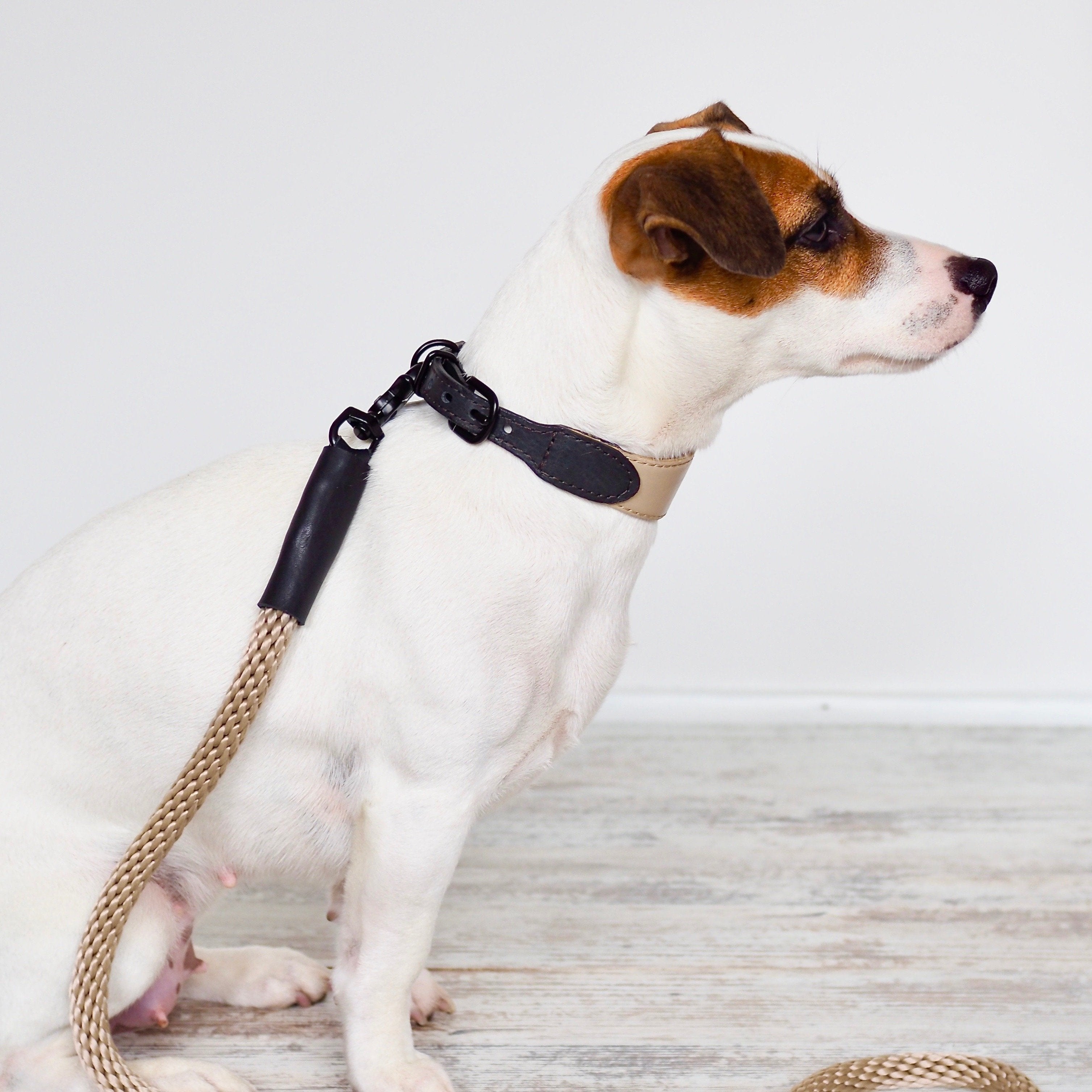 Dog collar Pony knotony beige&black