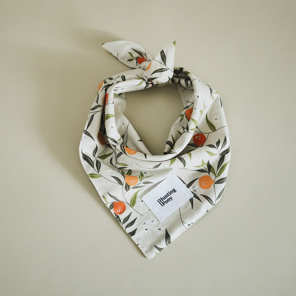 Pony Bandana for dogs