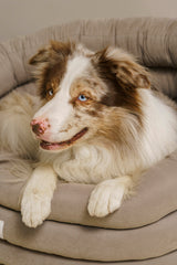 Dog bed Pony cloud beige