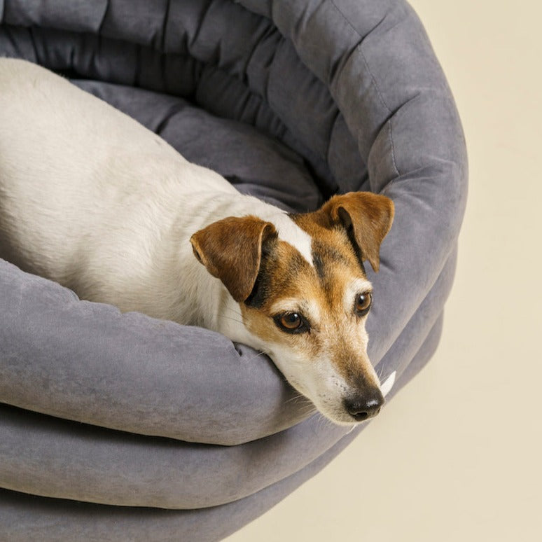 Dog bed Pony cloud dark gray